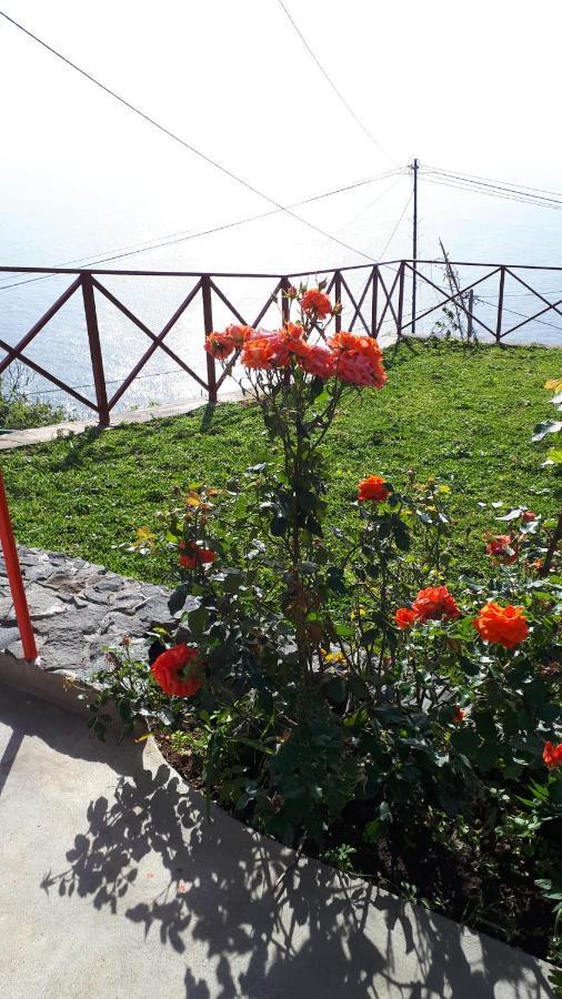 Casa Villa Dinastia Sotao Y Casa Villa Dinastia Miramar Ribeira Brava Exterior foto